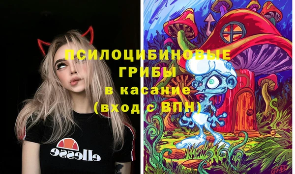 крисы Покров