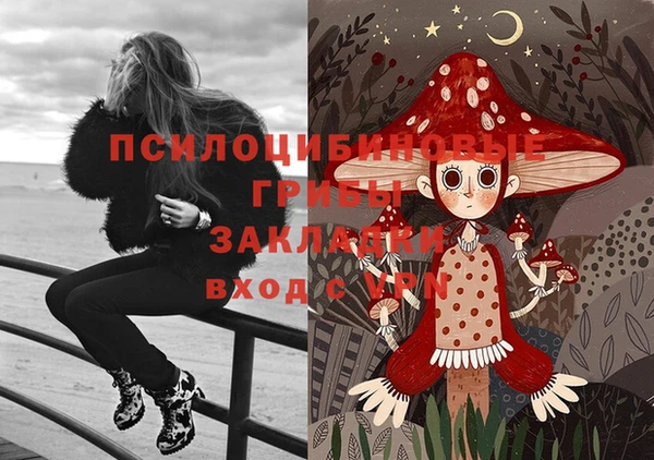 бошки Покровск